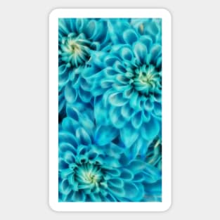 dahlia bloom with reflection in water in shades of turquoise blue Sticker